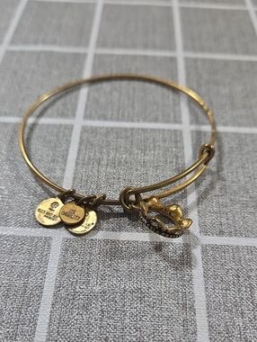 Alex and Ani Gold Cowboy Hat Charm Adjustable Bangle Bracelet